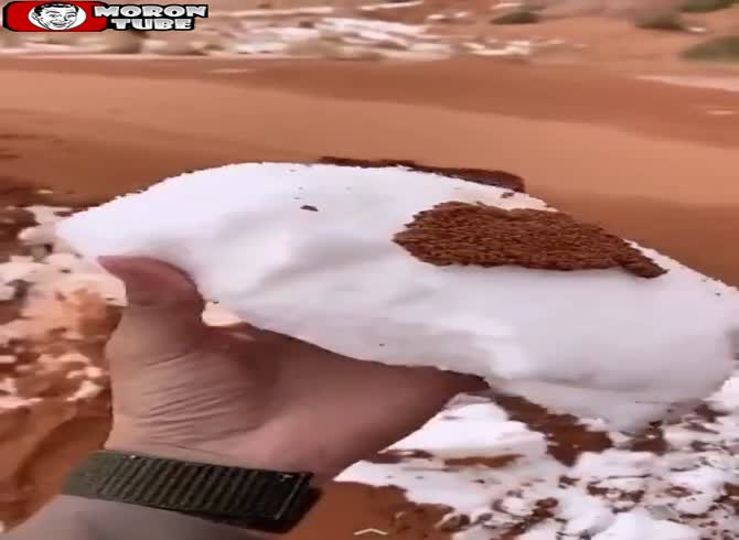 Video: When Saudi Arabia has snowfall
